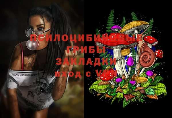 гидра Наволоки