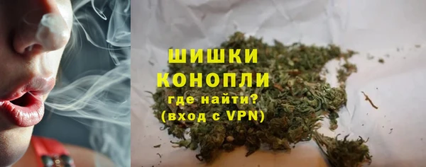 гидра Наволоки