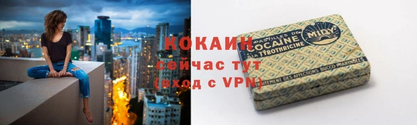 гидра Наволоки
