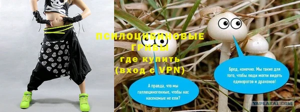 гидра Наволоки