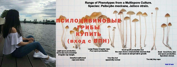 синтетический гашиш Надым
